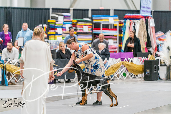 20261001-DSC07388
