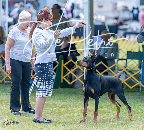 20230513-DSC08854