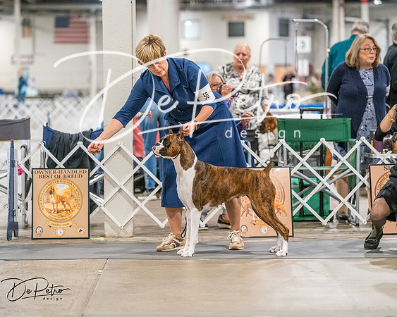 20261022-DSC01865