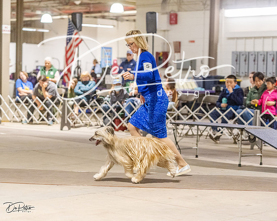 20230401-DSC07982