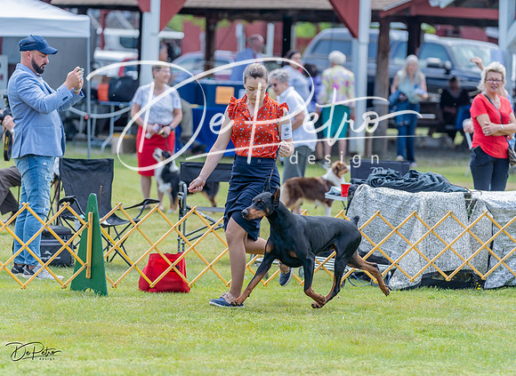 20230513-DSC08702