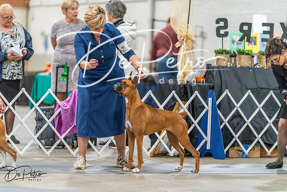 20261022-DSC00335