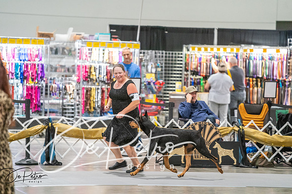 20260926-DSC04546