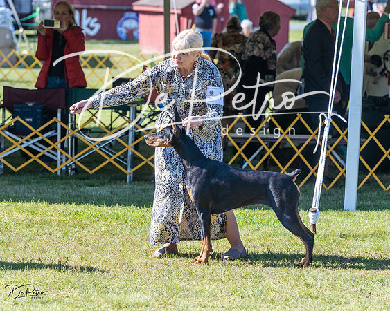 20230514-DSC02812
