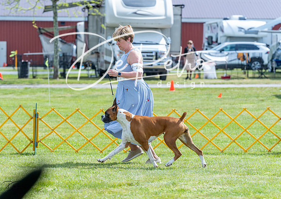 20230512-DSC04988