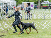 20230428-DSC07699