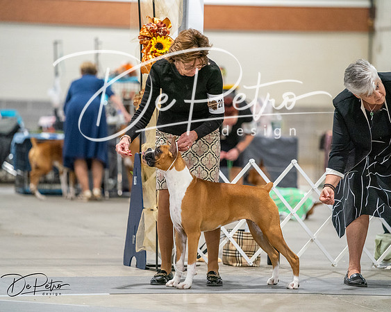 20261022-DSC03248