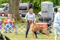 20230427-DSC06468