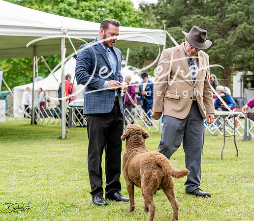 20230427-DSC05931