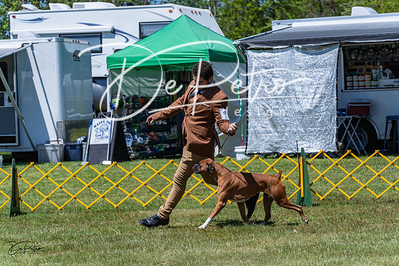20230514-DSC04094