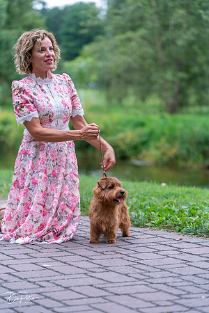 20260912-DSC03268