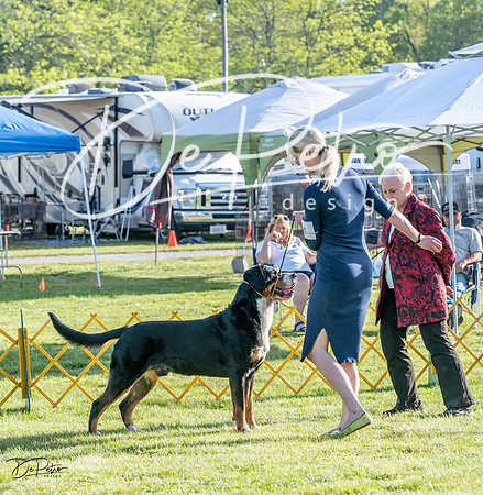 20230513-DSC02340