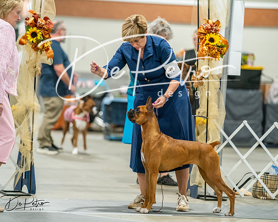 20261022-DSC03227