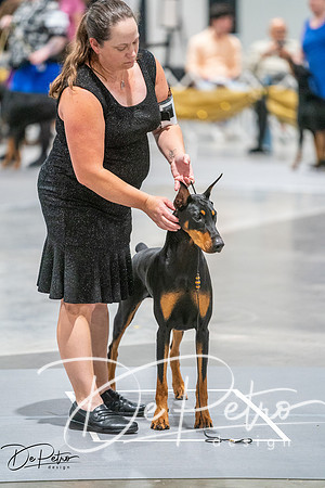 20260926-DSC04165