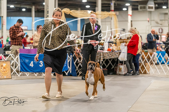 20261023-DSC05400