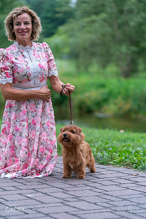 20260912-DSC03251