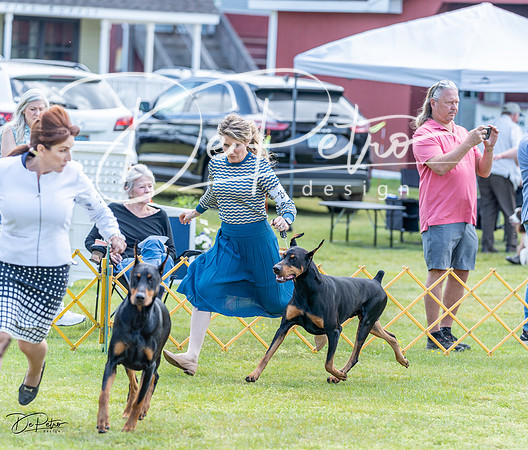 20230513-DSC09007