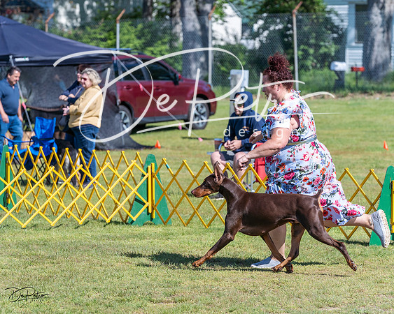 20230514-DSC03170