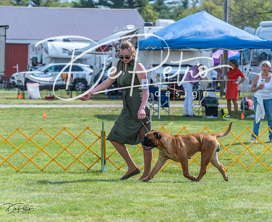 20230512-DSC05065