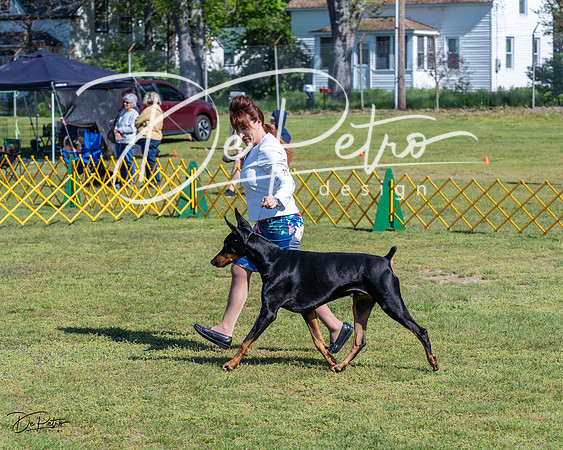 20230514-DSC03204
