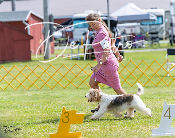 20230513-DSC09658
