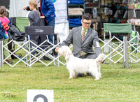 20230427-DSC06510