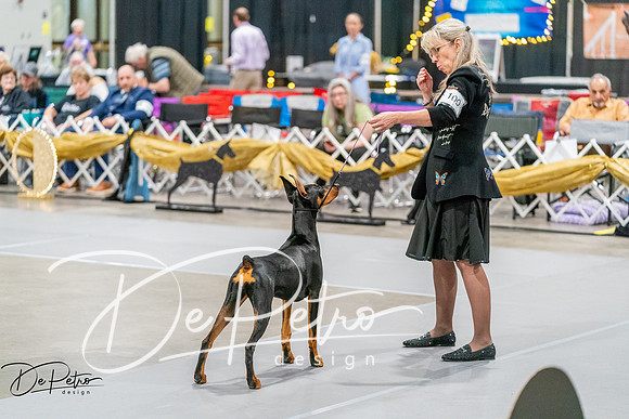 20260930-DSC06882