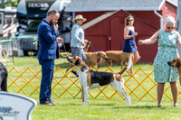 20230513-DSC09366