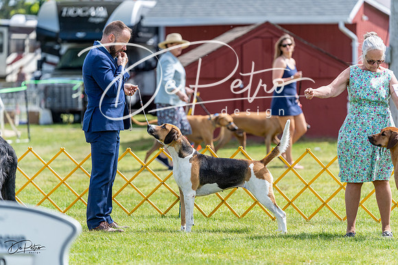 20230513-DSC09366