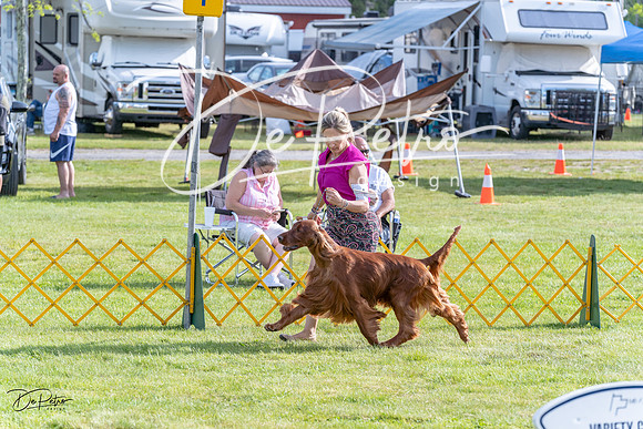 20230513-DSC01778