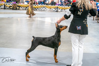 20260926-DSC03964