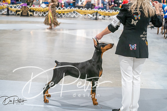 20260926-DSC03964