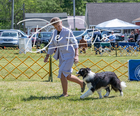 20230514-DSC05021
