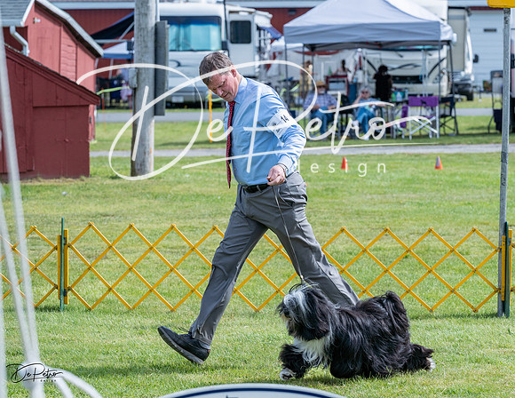 20230513-DSC00348