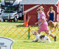 20230513-DSC09387