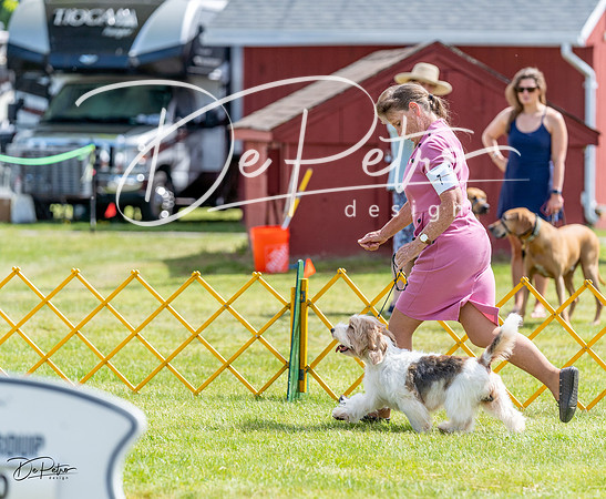 20230513-DSC09387
