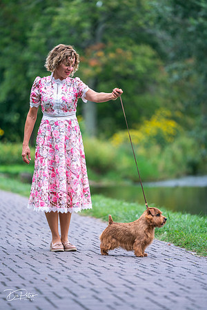 20260912-DSC03198