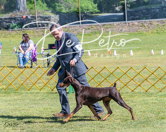 20230514-DSC03332