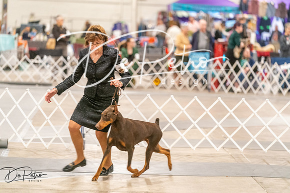 20261024-DSC00840