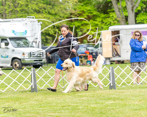 20230427-DSC03433