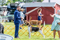 20230513-DSC09362