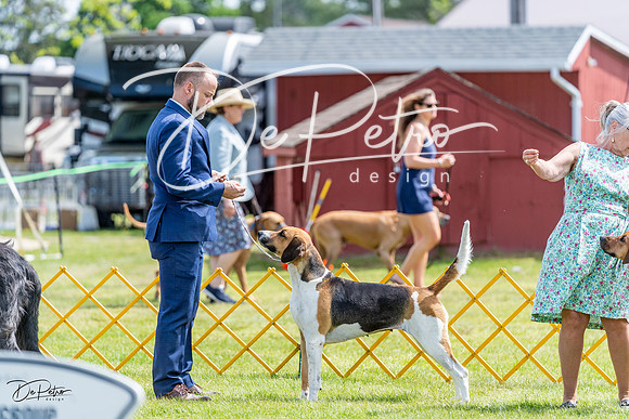 20230513-DSC09362