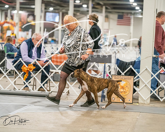 20261022-DSC01714