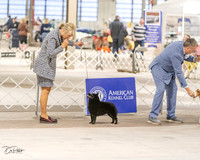 20230331-DSC05978