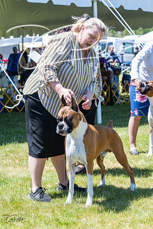 20230514-DSC04259