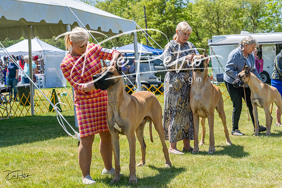 20230514-DSC08031