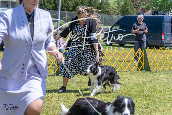 20230514-DSC04891