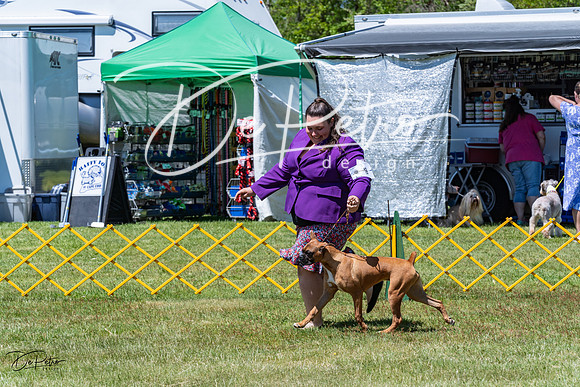 20230514-DSC04217