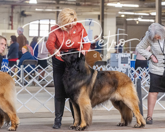 20230402-DSC09332