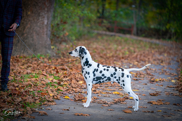 20261017-DSC09179